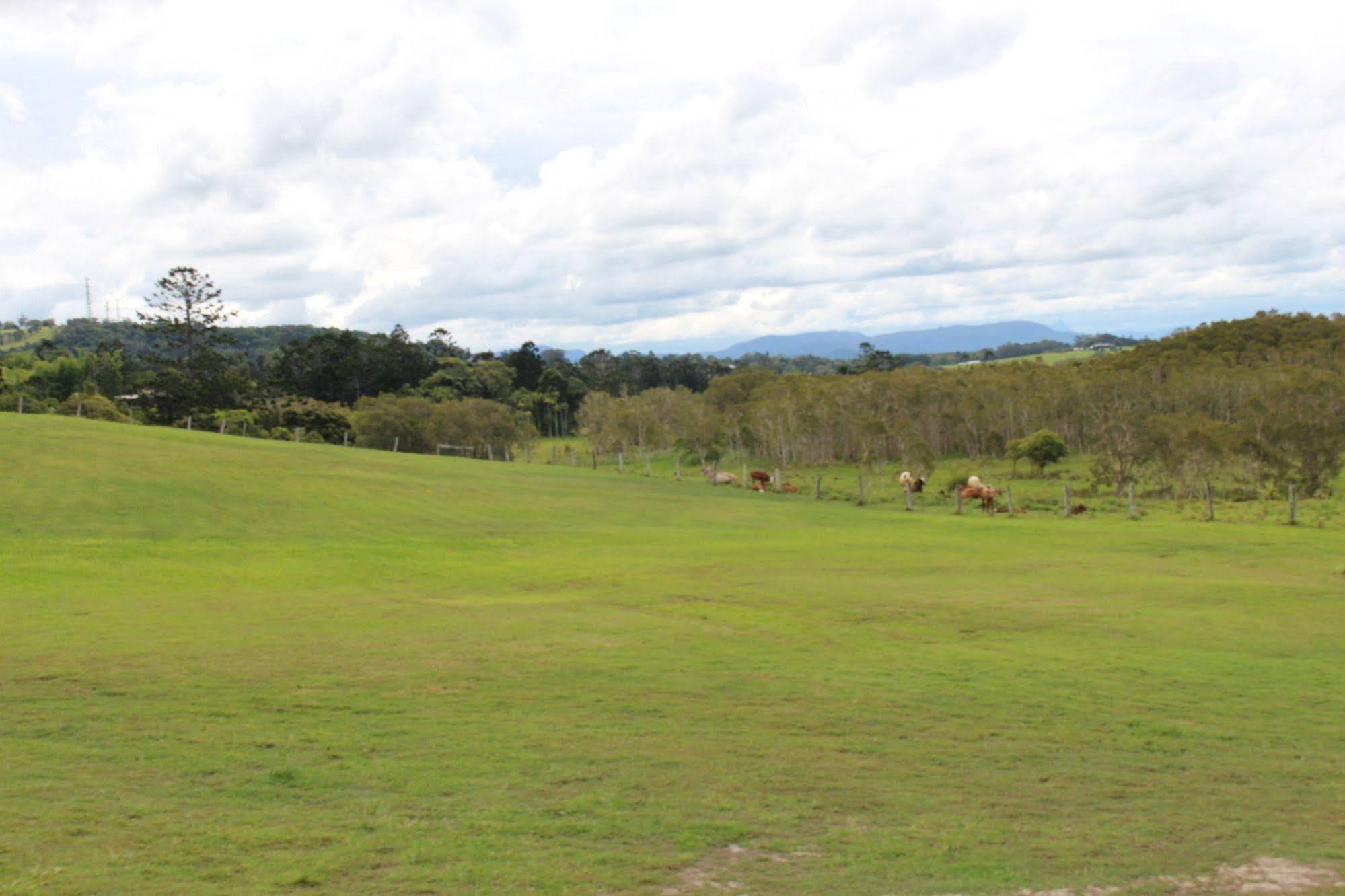 Cape Byron Retreat (Adults Only) Βίλα Μπάιρον Μπέι Εξωτερικό φωτογραφία